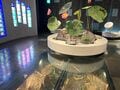 太古の眠りからの目覚め「12万株のハスの大輪が見頃」＆田んぼアートも【古代蓮の里】2023年・埼玉県行田市の画像013