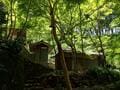 低山でも「360度パノラマ」絶景！  兵庫県丹波市「石金山」紅葉の名所「小新屋観音」から、清涼感あふれる「源流＆青もみじ」2時間ハイキングの画像014