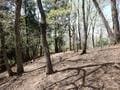 【山火事があった現場へ】2025年4月、住宅地にほど近い「青貝山」で発生した“人為的”災害… 豊かな里山が問う、登山者のマナーとは【大阪府豊能町】の画像009