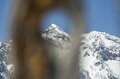 スノーシューで巨木の森へ！「王様の木、杉並木、鏡池」深雪に包まれた神秘的な姿に感動する！  パワースポットの宝庫【戸隠】で真冬にだけ出合える絶景の画像007