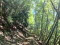 登山歴8年ライター「登山にハマるきっかけ」の山！  精進湖「パノラマ台」約1時間で登頂・山の上での絶景＆ラーメンに感動＆”リアル”も知った「登山レポ」の画像002