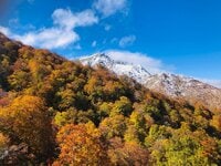今週末の紅葉見るならどこ？ 名所＆人気スポットから最新情報をお届け「WEEKLY紅葉ニュース」【2023年10月第4週】