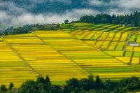 【絶景】“夏と秋の狭間、山里の美景”  田園パッチワークの眺めが見事！ 「山本山」 新潟県小千谷市｜2026年