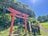 【夏の絶景】山頂から眺める南魚沼の自然とウラジロヨウラク！「花々を愛でる夏のゲレンデ」六日町八海山スキー場〈新潟県〉2022年の画像005