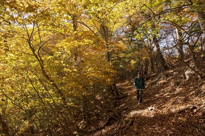 【首都圏近郊ハイキング】日帰りでもしっかり歩ける穴場「牛の寝通り」で紅葉大満喫の画像001