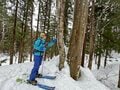 スノーブーツで履けるスキー！？  滑れる人も滑れない人も楽しめる「SNOW HIKE」で冬の森を散策の画像004