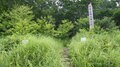 『逃げ上手の若君』聖地巡礼！  北条時行が過ごした諏訪大社ゆかり「守屋山」絶景の山頂まで2時間半「ハイキングレポ」の画像001