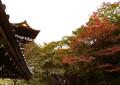 本当は教えたくない「紅葉の京都」1日で「名所5か所」まわれる「800円レンタサイクル」活用術！ クルマは「絶対NG」の「観光ワザ」実践レポの画像003