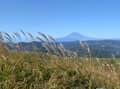 都心から行ける「ちょこっとアウトドア」絶景・伊豆高原「秋の紅葉＆夏の湖畔＆春の桜」穴場ハイキング・ウォーキング「4スポット」の画像001