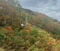 【2024年10月 第3週】今週末の紅葉の見ごろは？  名所＆人気スポットの最新情報をお届け「WEEKLY紅葉ニュース」の画像008