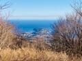 山頂を目指さなくてもOK！  絶景4000本「梅の花」見る「早春ハイキング」 2月の湯河原「幕山・梅の宴」見頃直前レポの画像002