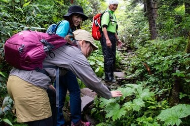 山形県米沢市・天元台高原】吾妻連峰の百名山「西吾妻山」は ”天空の