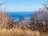 山頂を目指さなくてもOK！  絶景4000本「梅の花」見る「早春ハイキング」 2月の湯河原「幕山・梅の宴」見頃直前レポの画像002
