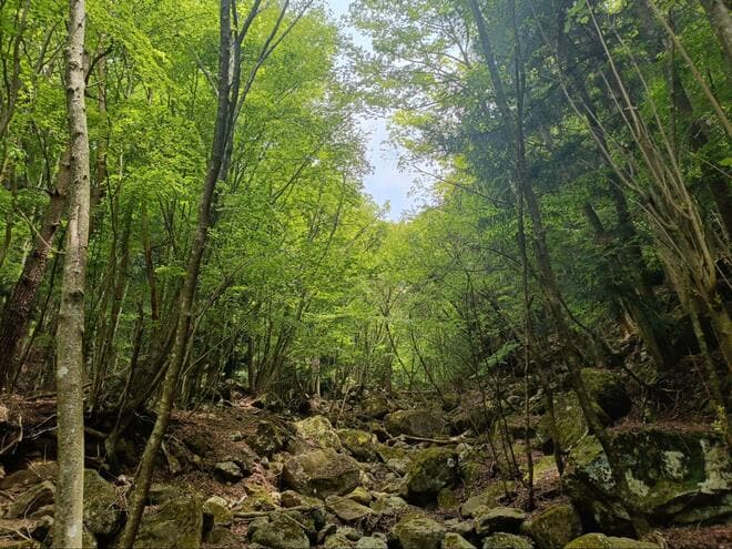 富士山と西湖の絶景を望む「王岳」＆「鍵掛峠」の “贅沢な尾根” 歩きが魅力！  富士河口湖町「西湖いやしの里根場」から日帰り登山レポの画像005