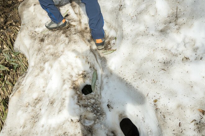 【登山】「雪渓にロープありません」人気ルートだけど要注意！  アイゼンとピッケルを用意して  北アルプス 白馬乗鞍岳／白馬岳 長野県｜2026年の画像002