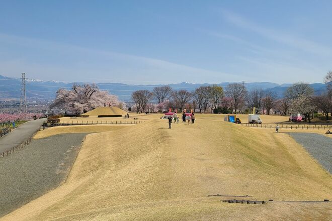 春色の濃淡を楽しむ「桜と桃」お花見スポット2選！  1日でどちらも訪問OK！  4月上旬、山梨ならではの ”特別な10日間” 体験レポート【笛吹市＆韮崎市】の画像002