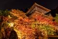 70年ぶり大改修で完成間近の世界遺産・嚴島神社「大鳥居ライトアップ」と真っ赤に染まる「宮島の紅葉狩り」！  “広島の秋”レポートの画像001