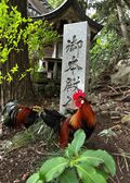  “最強の神が祀られる” として『やりすぎ都市伝説』にも登場！  あばれる君も驚愕した関東屈指のパワースポット！？ 「大甕神社」ってどんなところ？の画像007