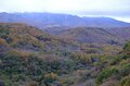 「八ヶ岳×紅葉×秘湯×高原グルメ」の贅沢プラン！  11月の ”おすすめドライブコース国道141号線” が紅葉の最盛期の画像014