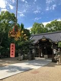 杭全神社の「杭全」はなんと読む！？  大クスノキが見守る神社の中心でカエルと「悪疫退散」を叫ぶ【関西おみくじジャーニー vol.14「杭全神社」／大阪市平野区】の画像003