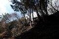 【各地で相次ぐ山火事】丹沢の人気ルート「大倉尾根」の通行止めが解除の画像001
