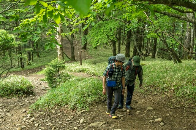 【50代から始める山登り】《第3回》ようこそ！ 素晴らしき山の世界へ。いよいよ「登山デビュー」 歩き方やマナーを学んで、安全で思い出に残る「最高の初登山」に！の画像007