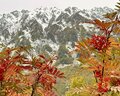 今週末の紅葉見るならどこ？  名所＆人気スポットから最新情報をお届け「WEEKLY紅葉ニュース」【2023年10月第2週】の画像008