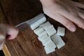 【ビニール袋で作るからアウトドアでも片付けラクラク】もちもち食感がたまらない「ライスペーパー大根餅」【季節の外ごはん vol.58】の画像001