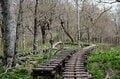 【首都圏近郊ハイキング】5月でもまだ花見ができる山「西丹沢・檜洞丸」への画像005