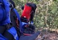 【ちょっと上手くなっちゃうかも！？】スマホで撮る「登山記録の写真」一度は試したい「2つの簡単な撮影テクニック」登山道から実践レポートの画像018