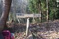 早春のロウバイ咲く「宝登山」絶景ハイキング！  木漏れ日の「長瀞アルプス」 尾根歩き＆下山はロープウェイ利用もOK！ 「現地レポ」【埼玉県秩父郡長瀞町】の画像006