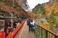 カメラを持って『黒部峡谷トロッコ電車』へ出かけよう！ 「日本有数の大峡谷」を列車でめぐり大迫力の秋景色を体感【特集・紅葉フォトトレッキングガイド 2024】の画像003