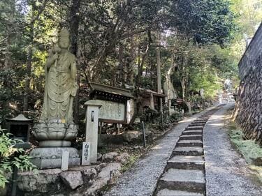 創元会委員,中山節子「南仏風景（ブオー畑）」４号油彩,77年,サントロペ,額なし 創元会委員，中山節子「南仏風景（ブオー畑）」4号油彩，1977年