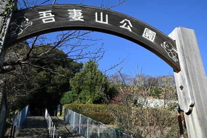 【花巡り】ひと足先に春を満喫！ 16万本の菜の花とドドーンと聳える雪の富士山「冬の暖かい日差しを浴びて楽しめる好展望の名所2選」 今年の運勢はいかに   神奈川県｜2026年の画像001