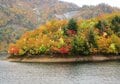 見頃を迎え「紅葉」真っ盛り！  秘境・奥只見湖の「絶景クルーズ」へ【新潟県魚沼市】の画像006