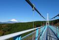 風速とスリルの絶景スポット「三島スカイウォーク」で涼を感じる！  日本最長400ｍ「歩行者専用吊り橋」＆往復560ｍ「ロングジップライン」ほか「現地レポ」の画像001