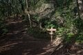 【大人気の高尾山ハイキング】混雑を回避する “静かな尾根道”「南高尾山稜」への画像002
