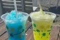 夏の花盛り！ 日本百名山「赤城山」カルデラ湖「大沼」を見渡す「絶景＆厳選」ルート「黒檜山・地蔵岳・駒ケ岳」登山レポの画像005