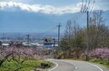 フルーツ王国・山梨の春はピンク色！ 桜から桃の花へ！ 開花ラッシュで花見に大忙しの “桃源郷” 甲府盆地【山梨県】2022年の画像010