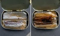 斎藤茂吉が歌に詠んだ「うなぎ蒲焼缶」が終売！  別れを惜しんでおいしくいただきました【缶詰博士の缶たん”CAN”P料理 vol.71】の画像001