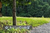 知る人ぞ知る？女性限定キャンプイベント「女キャンパーの宴」参加レポ！ アットホームすぎる「焚き火トーク＆朝ヨガ」と、驚きの自作ギアとは？