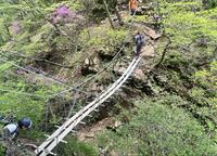 思わず叫ぶ「富士山」の絶景！ 「スリリング吊り橋＆岩壁よじ登り」十二ヶ岳登山レポ