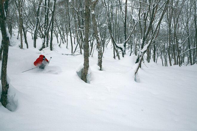 【スノーウェーブパーク 白鳥高原】こんな「おいしいスキー場」なかなかない！  リフト1本で「ラクして、快適に、効率最強」 ゲレンデ全部が滑り放題！の画像008