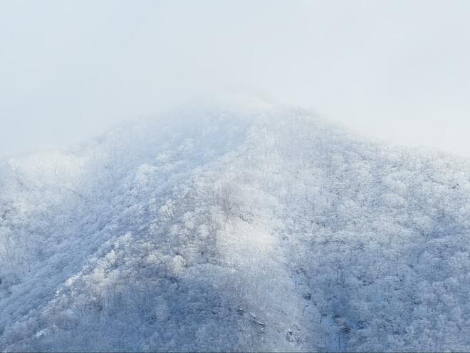 自然が生み出す “氷の芸術”！  1月・日本百名山「赤城山」真冬の絶景！  びっしり育つ「青の氷瀑」＆北海道で見られる「アイスバブル」も【現地レポ】の画像006