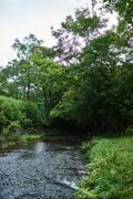 【酷暑から脱出せよ！】夏休みはここが狙い目「絶景の避暑地キャンプ場」教えます【絶景キャンプ場ガイド-言葉を失うほどの風景に会いに行こう- vol.23】の画像006