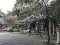 梅の見ごろ「吉野の桜・和歌山のミカン・丹波の栗」に並ぶ「江戸以来」の“間違いない”名所！　駅10分「岡本梅林公園」＆「保久良梅林」散策レポ【兵庫県神戸市】の画像004