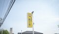 【駅から登る絶景低山】川端康成・井上靖・東山魁夷も称賛した山頂からの展望「長峰山」＆桜の名所「光城山」縦走ハイキング【長野県安曇野市】の画像011
