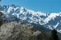 白銀の北アルプスに春の風物詩が出現！ お花見とセットで楽しめる“雪形”探し 【長野県 2024年】の画像001