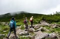 【山形県・天元台ナビ】山形の避暑地「夏の天元台高原」は楽しみがいっぱい！  天空のアウトドアアクティビティ、絶景スポット、食にお酒に温泉など魅力をまとめて紹介！の画像004