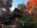 駅から日帰り「天王山」ハイキング！ 絶景の“ラスト紅葉”「山崎聖天」＆歴史ファン必見「天下分け目」の地「実踏レポ」の画像002